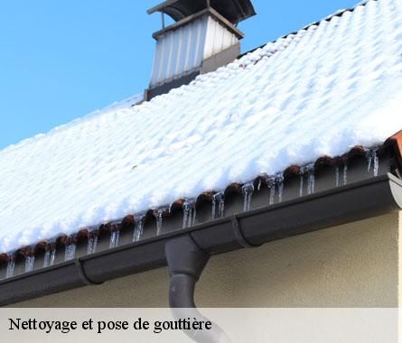 Nettoyage et pose de gouttière  22310