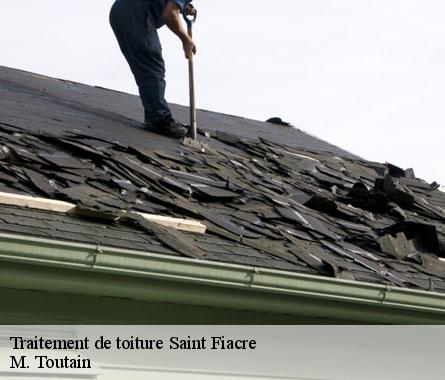 Traitement de toiture  saint-fiacre-22720 M. Toutain