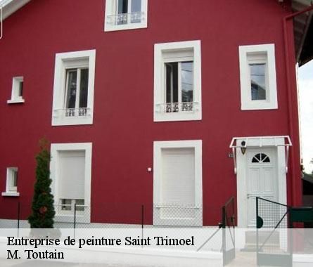 Entreprise de peinture  saint-trimoel-22510 M. Toutain